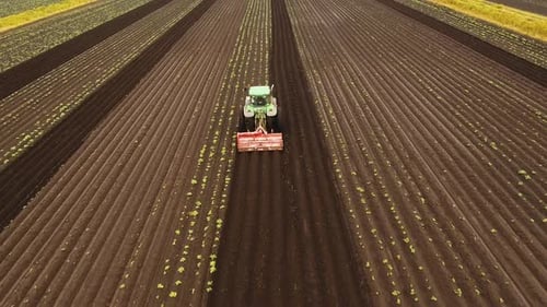 Tractor Cultivates the Land in the Field.