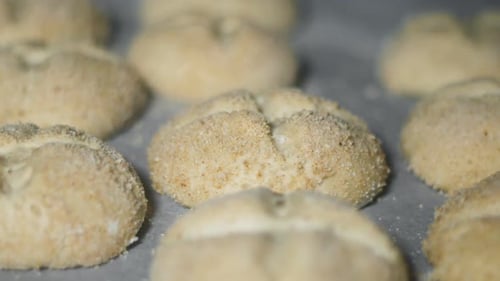 Freshly Baked Homemade Rolls on Baking Sheet