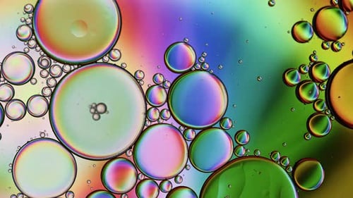 Bright Iridescent Oil Bubbles Macro Abstract