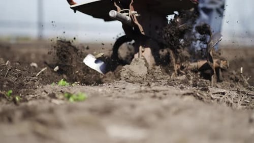 Power Cultivator Tilling Soil in Rural Setting