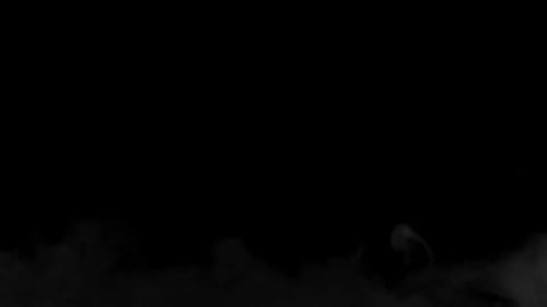 Real Organic Smoke 17