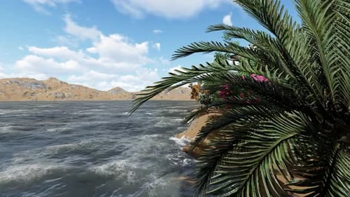 Palm trees on the beach
