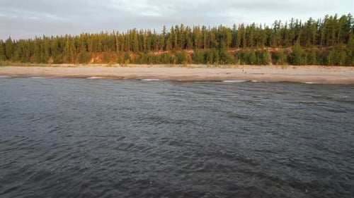 Golden Beach Meets River and Forest at Sunset