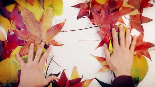 Center with colorful autumn leaves