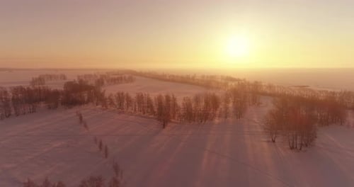 Aerial Drone View of Cold Winter Landscape with Arctic Field, Trees Covered with Frost Snow