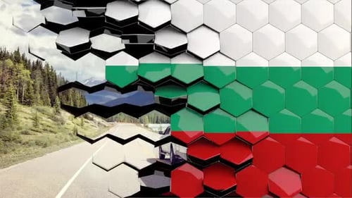 Hexagonal Mosaic Grid Photo Reveal Transition