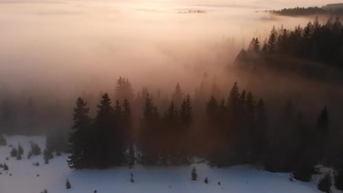 Aerial Drone View to Fog and Clouds Over Carpathian Mountains