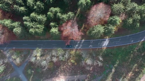 Bird's Eye View of a Car On a Journey Through a Forest Road