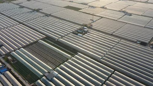 Extensive Greenhouse Farming from Above on Sunny Day