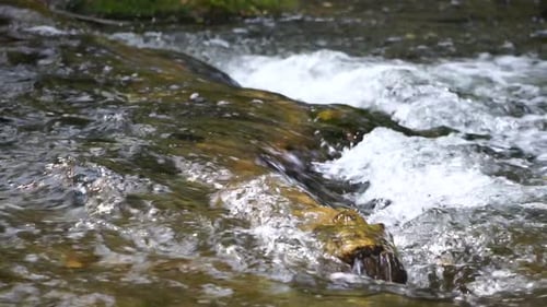 Nahaufnahme eines rauschenden Baches in Zeitlupe, schnell fließendes Quellwasser mit einigen bunten Herbstblättern