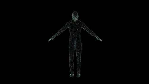 3D Seamless Loop Male Hologram Wireframe