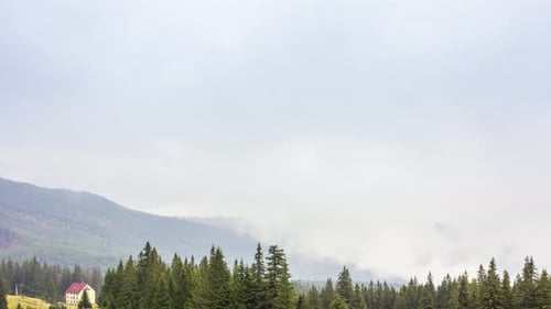 Morgennebel über dem Tal Unter den Bergen im Sonnenlicht. Nebel und wunderschöne Natur von