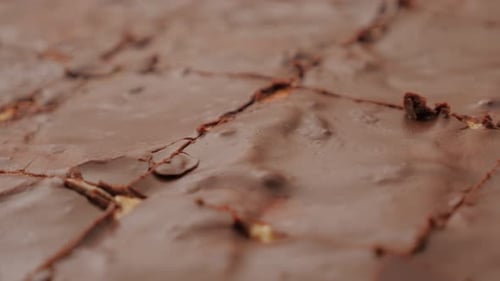 Delicious Chocolate Brownies Cut Into Squares