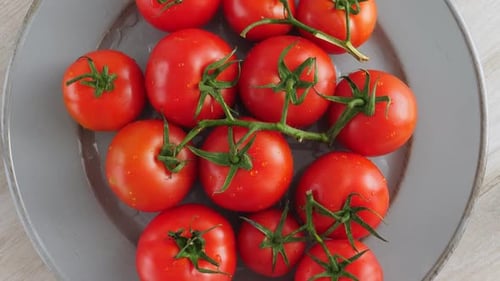 Rote reife Tomaten mit grünem Zweig auf Teller