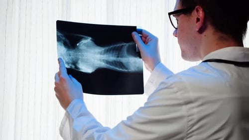 Man Reviews X-Ray in Bright Medical Setting