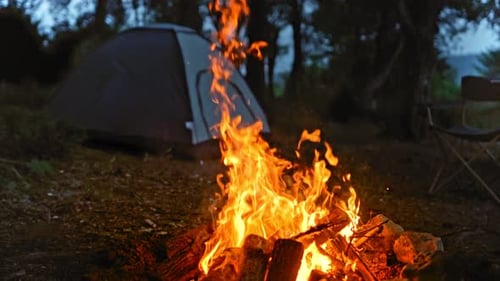 Blazing Campfire with Tent in Night Setting