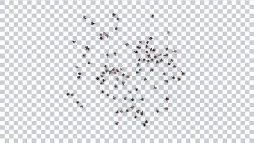 Crowd Commotion Top View