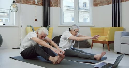 Senior Couple Doing Stretching Exercises at Home
