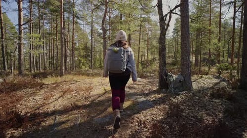 Autumn Hike Backpacker Lifestyle Woman Walking on Trek Trail in Forest Outdoors