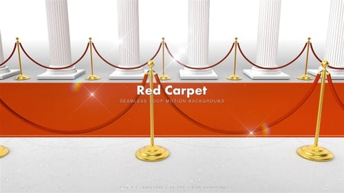 Roter Teppich Weiß 9