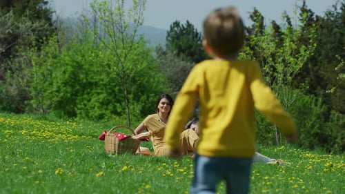 Family Enjoying Sunny Picnic in Green Field