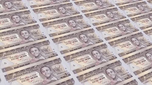 Ethiopia Money / 1 Ethiopian Birr 4K