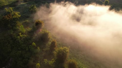 4K Aerial view of the misty sunrise in the forest.