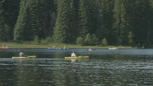 Kayaks on a lake