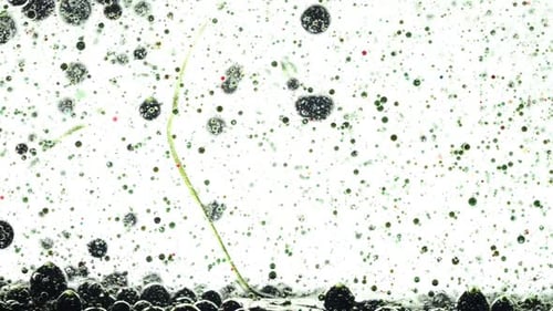 Background from Bubbles 2
