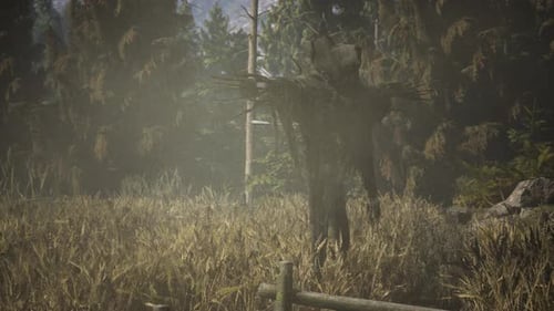 Scarecrow on the Old Village Field