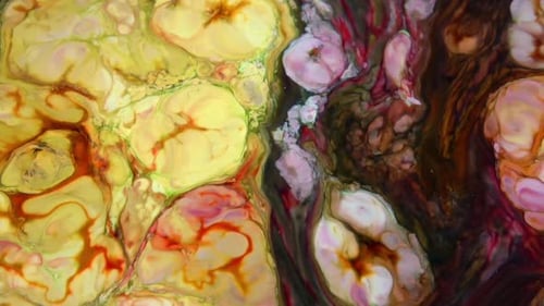 Abstract Yellow and Red Paint Swirls