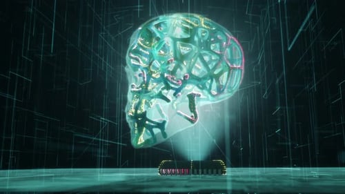 Futuristic Holographic Brain and Skull Display