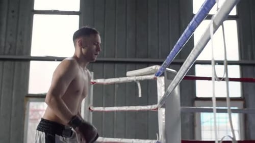 Intense Boxer Training in Boxing Ring