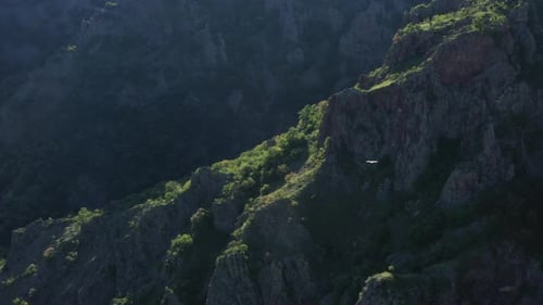 Soaring Bird Flies Over Scenic Mountain Ridge