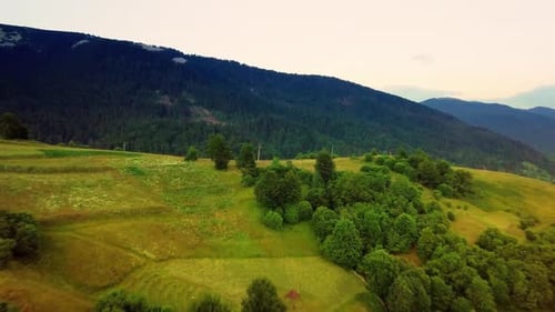 Aerial View of the Endless Lush Pastures of the Carpathian Expanses and Agricultural Land