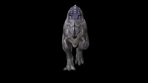 Animated Tyrannosaurus Rex Dinosaur Walking Towards Viewer