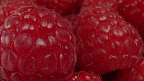 Close Up View of Fresh Red Raspberries