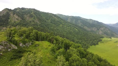 Mountain Summer Landscape