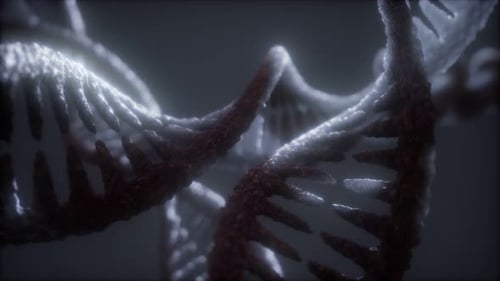 Loop Double Helical Structure of Dna Strand Close-up Animation