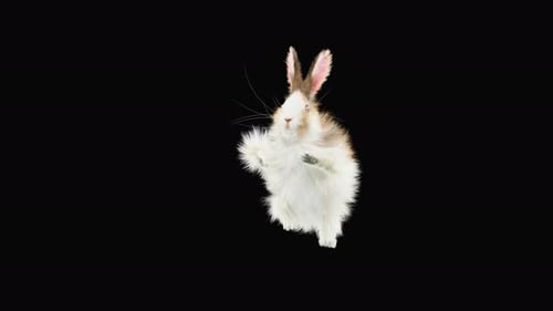 Cute Animated Rabbit Standing and Waving