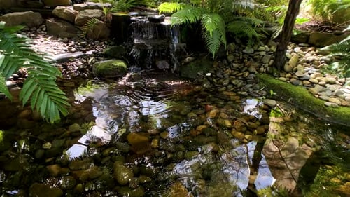 Water flowing into small pond, Japanese Gardens, Brisbane Queensland