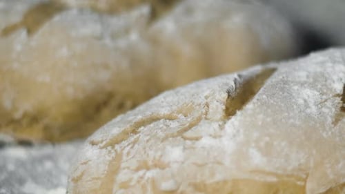 Raw Bread Dough Dusted with Flour, Macro Shot