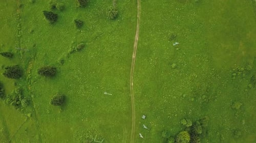 Aerial View of Green Rural Landscape with Path