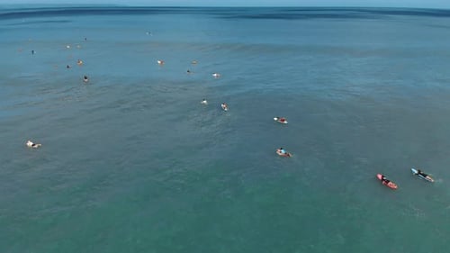 Aerial Shot of Group of Surfers Training in a Sea