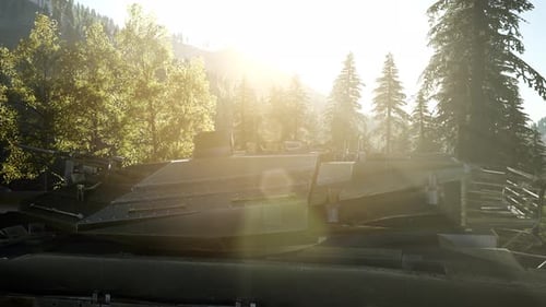 Old Rusty Tank in Forest