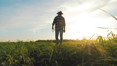 Farmer Walking Through Grassy Field at Sunset