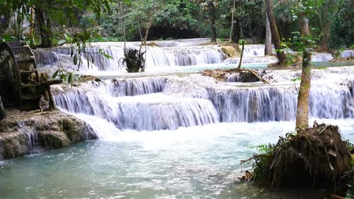 Tropical Waterfall Flowing in Lush Green Forest
