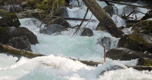 Rio de montanha na floresta em câmera lenta