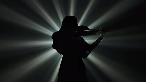 Bottom View Black Silhouette of a Woman Musician Playing the Violin Against the Background of
