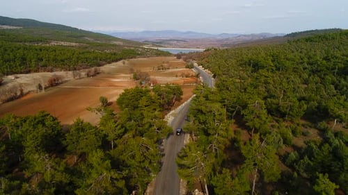 Road Forest Herbst